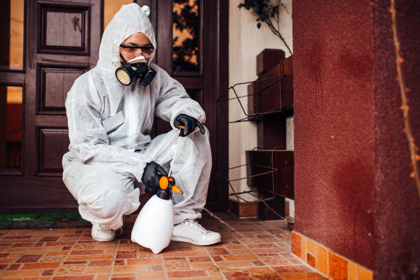 Reliable Ant Control contractor in Ellwood City, PA by Nex Pest Control